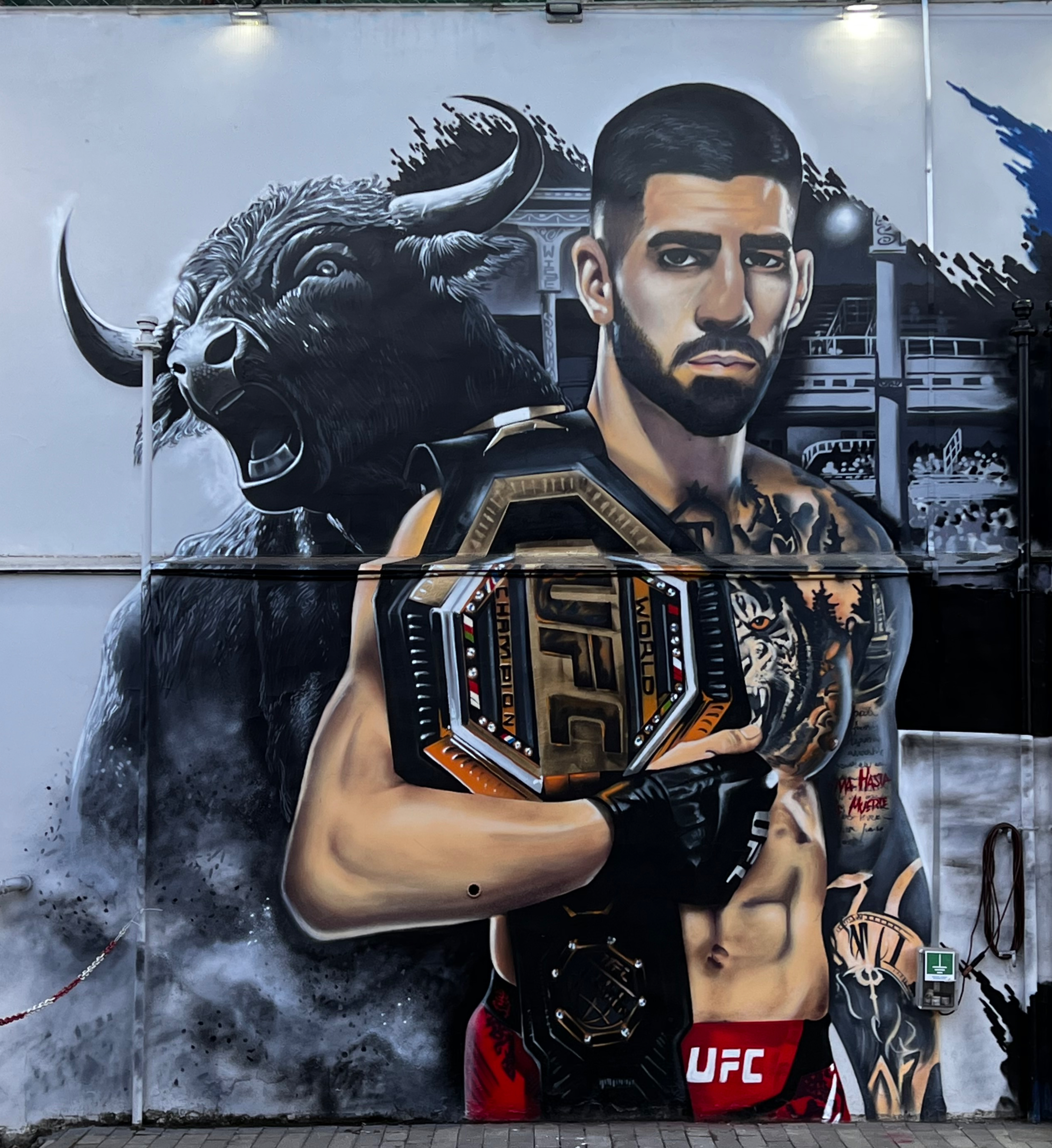 Ilia(el matador) topuria by Wise in Tbilisi