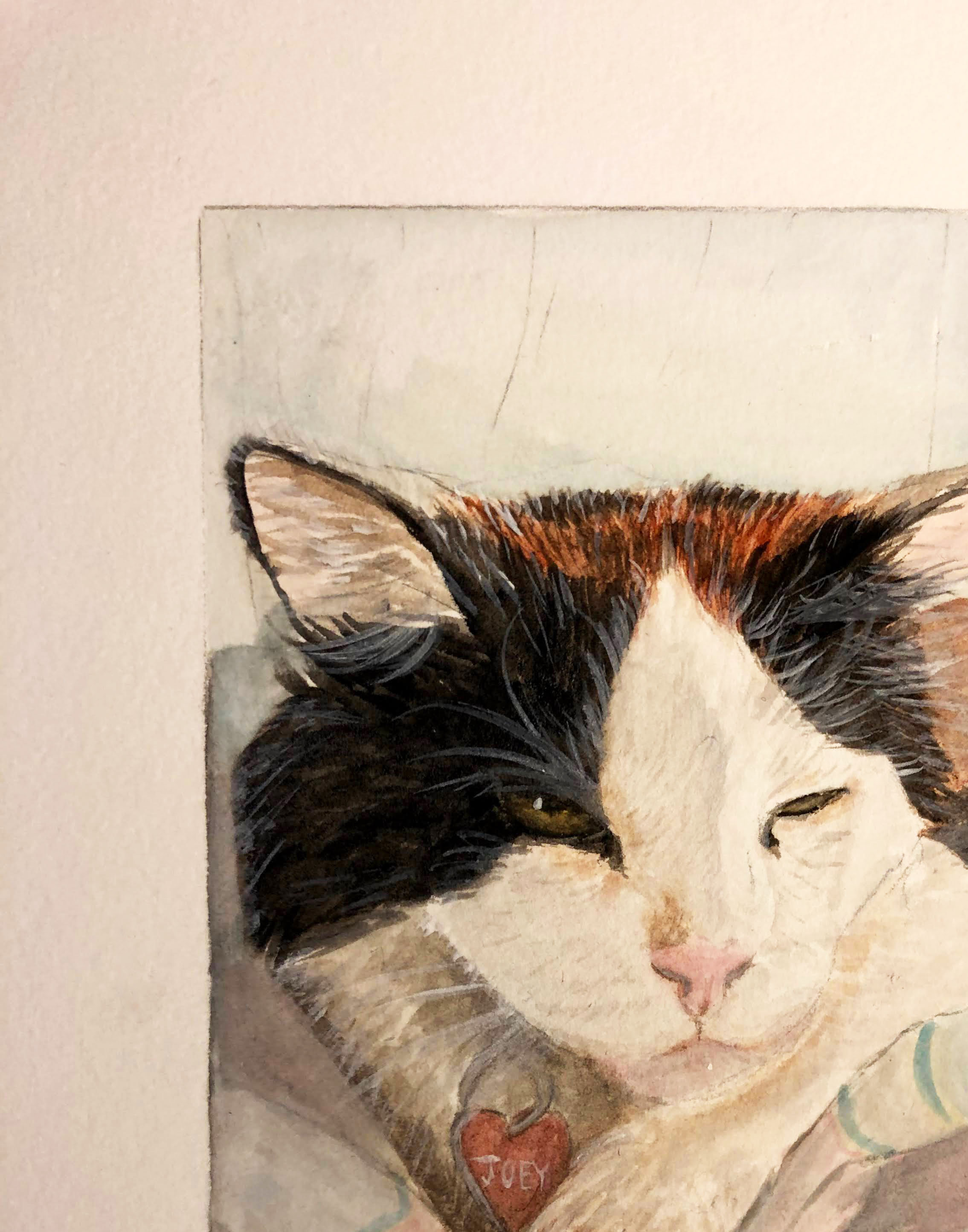 Pet portrait - Joey the Cat by Laura Young in Melbourne
